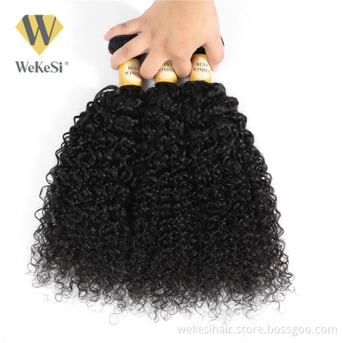 WKS Cheap Remi and Virgin Human Hair Exports Loose Wave Bundle Brazilian Short Human Hair Curly Weave Single Donor Extension